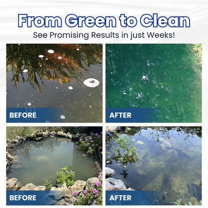 ⏱️ Crystal Clear in 24 Hours! | AQUA-SENTRA Pro Formula