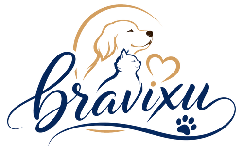 Bravixu
