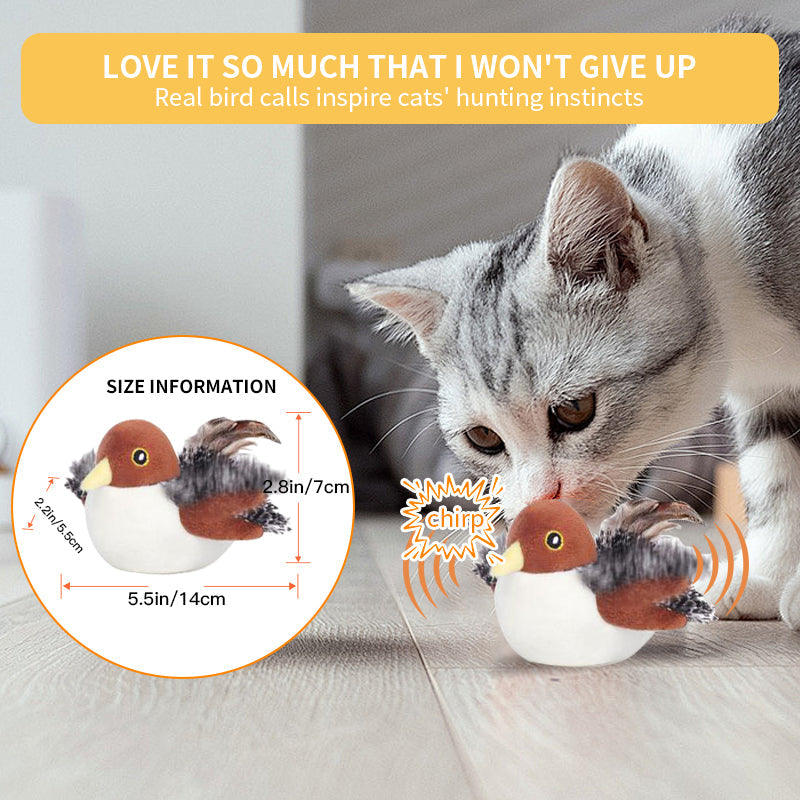 Bravixu Interactive Chirping Bird Cat Toy