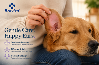 ✅ Official store: Bravixu™ Chamomile & Calendula Gentle Ear Rinse