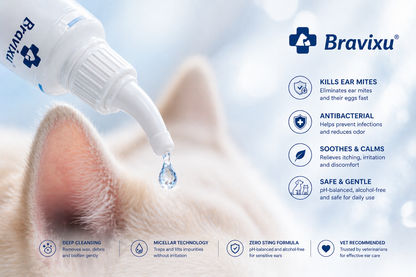 ✅ Official store: Bravixu™ Chamomile & Calendula Gentle Ear Rinse