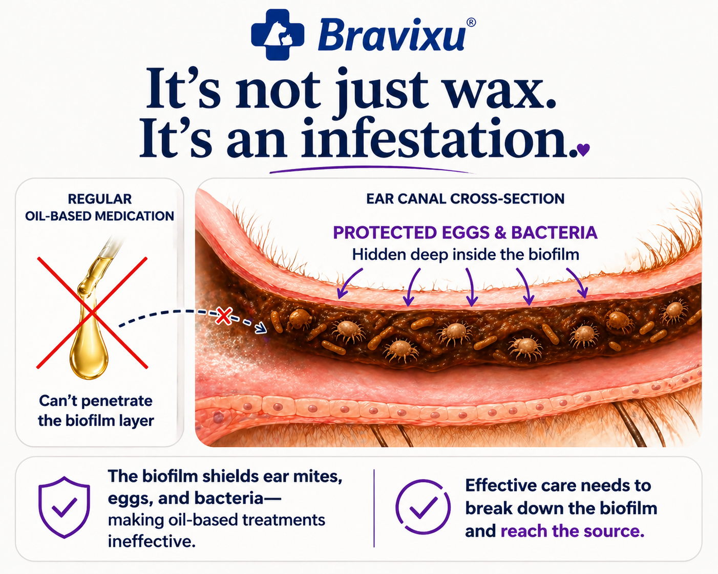 ✅ Official store: Bravixu™ Chamomile & Calendula Gentle Ear Rinse