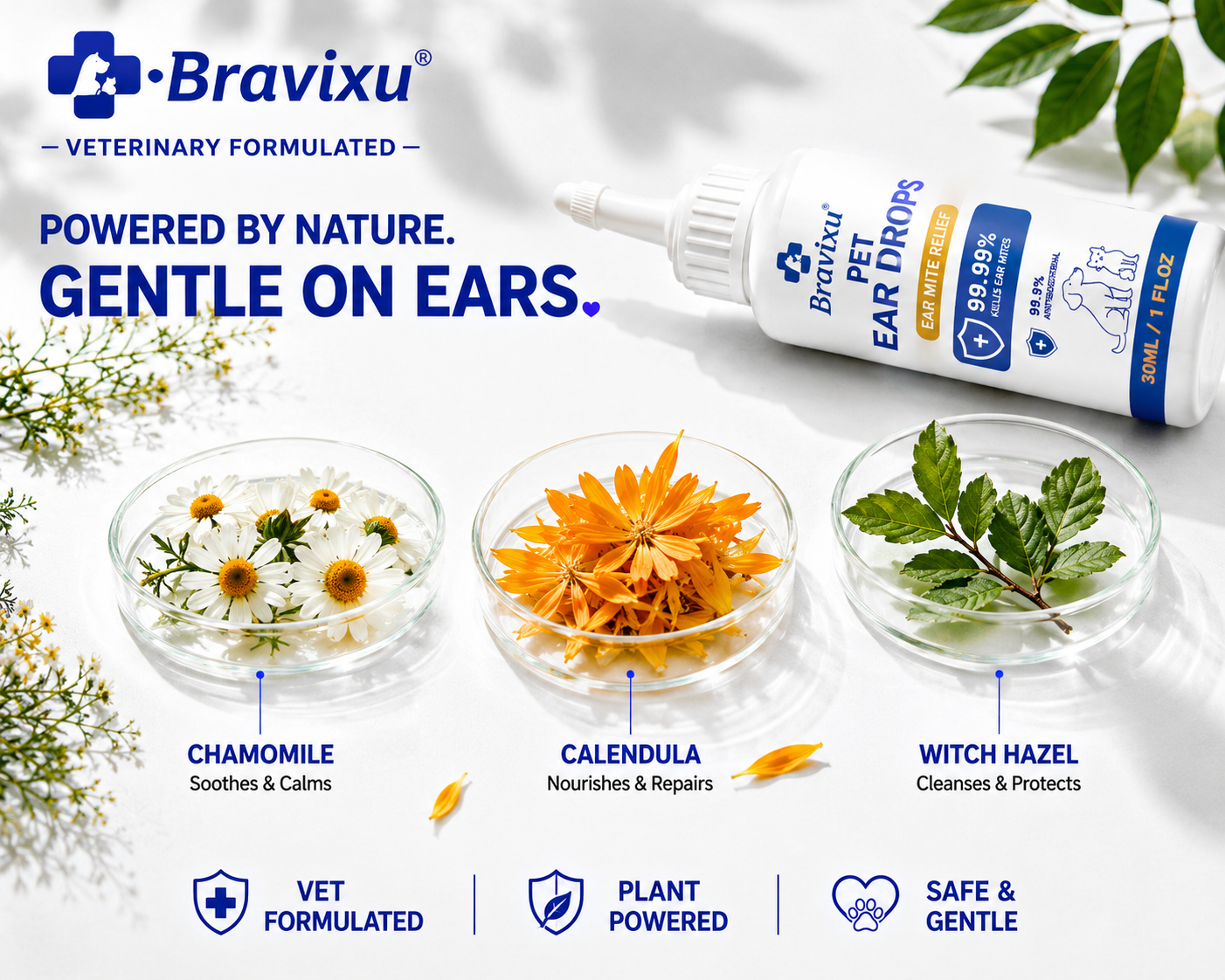 ✅ Official store: Bravixu™ Chamomile & Calendula Gentle Ear Rinse