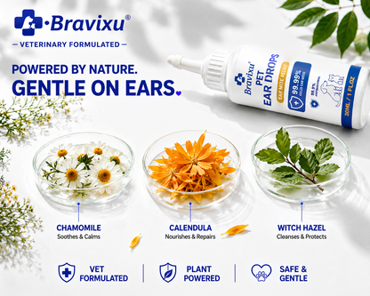 ✅ Official store: Bravixu™ Chamomile & Calendula Gentle Ear Rinse