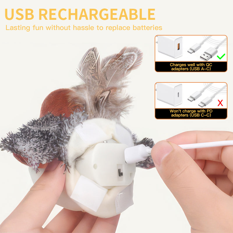 Bravixu Interactive Chirping Bird Cat Toy
