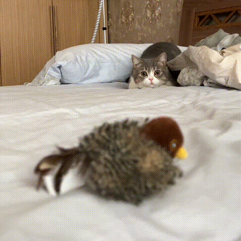 Bravixu Interactive Chirping Bird Cat Toy